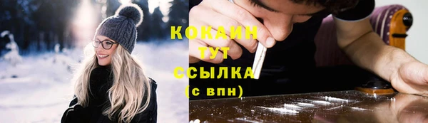 spice Бородино