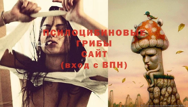 прущая мука Богородск