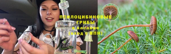 jwh Верея